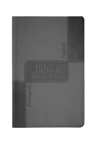biblia-bilingue-capa-cinza